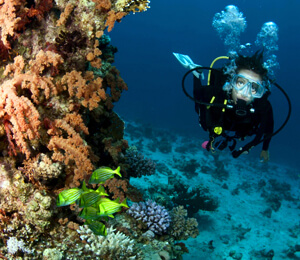 Aruba Diving Tours