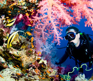 Diving Activities in Aruba
